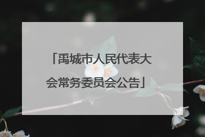 禹城市人民代表大会常务委员会公告