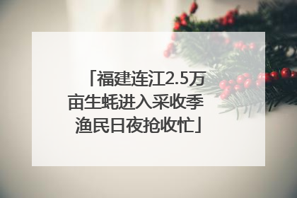福建连江2.5万亩生蚝进入采收季 渔民日夜抢收忙