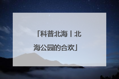 科普北海丨北海公园的合欢