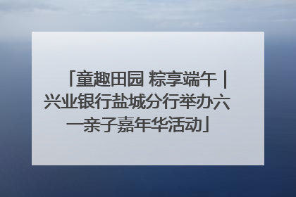 童趣田园 粽享端午｜兴业银行盐城分行举办六一亲子嘉年华活动