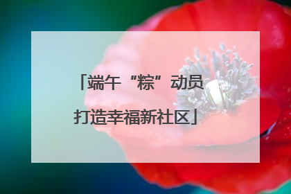端午“粽”动员 打造幸福新社区