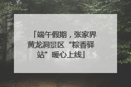 端午假期，张家界黄龙洞景区“粽香驿站”暖心上线