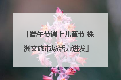 端午节遇上儿童节 株洲文旅市场活力迸发