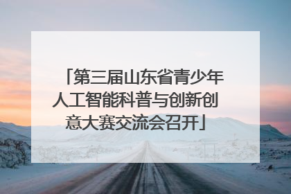 第三届山东省青少年人工智能科普与创新创意大赛交流会召开