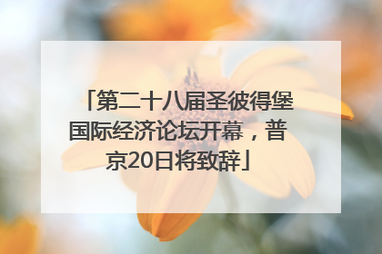 第二十八届圣彼得堡国际经济论坛开幕，普京20日将致辞