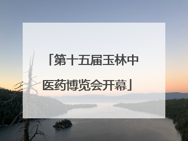 第十五届玉林中医药博览会开幕