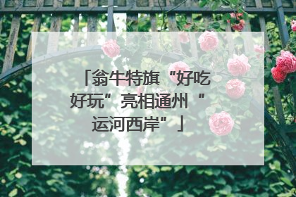 翁牛特旗“好吃好玩”亮相通州“运河西岸”