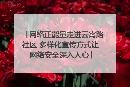 网络正能量走进云霄路社区 多样化宣传方式让网络安全深入人心