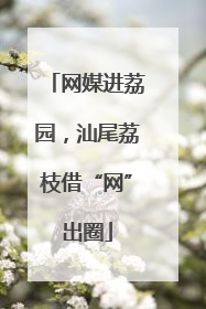网媒进荔园，汕尾荔枝借“网”出圈