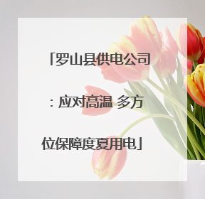 罗山县供电公司：应对高温 多方位保障度夏用电