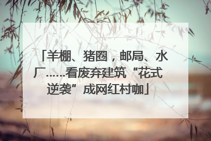 羊棚、猪圈，邮局、水厂……看废弃建筑“花式逆袭”成网红村咖