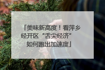 美味新高度！看萍乡经开区“舌尖经济” 如何跑出加速度