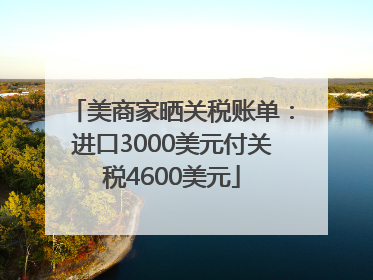 美商家晒关税账单：进口3000美元付关税4600美元