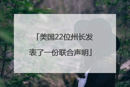 美国22位州长发表了一份联合声明