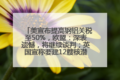 美宣布提高钢铝关税至50%，欧盟：深表遗憾，将继续谈判；英国宣称要建12艘核潜艇；马斯克最新发声：不想为美政府所做的一切承担责任丨早报