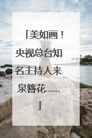 美如画！央视总台知名主持人来泉簪花……