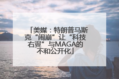 美媒：特朗普马斯克“闹崩”让“科技右翼”与MAGA的不和公开化