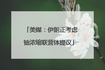 美媒：伊朗正考虑铀浓缩联营体提议