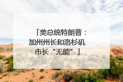 美总统特朗普：加州州长和洛杉矶市长“无能”