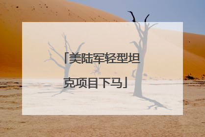 美陆军轻型坦克项目下马