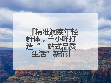 精准洞察年轻群体，羊小咩打造“一站式品质生活”新范