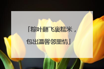 粽叶翻飞裹糯米，包出温馨邻里情