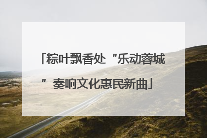 粽叶飘香处“乐动蓉城”奏响文化惠民新曲