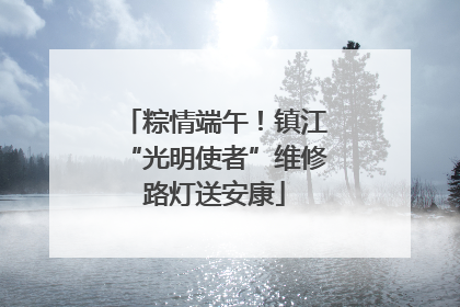 粽情端午！镇江“光明使者”维修路灯送安康