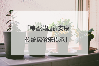 粽香满园祈安康 传统民俗乐传承