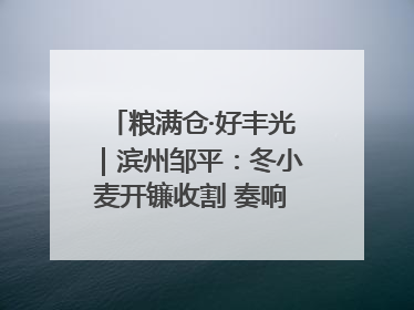 粮满仓·好丰光｜滨州邹平：冬小麦开镰收割 奏响夏日丰收曲