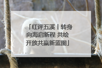 红评五溪丨转身向海启新程 共绘开放共赢新蓝图