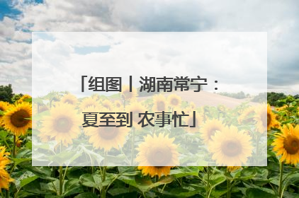 组图丨湖南常宁：夏至到 农事忙