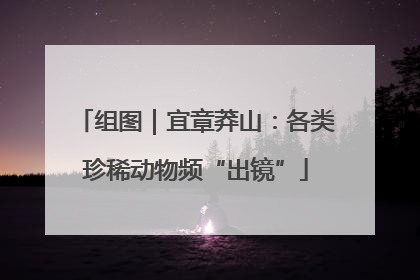 组图｜宜章莽山：各类珍稀动物频“出镜”