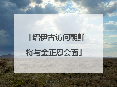 绍伊古访问朝鲜 将与金正恩会面