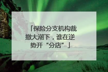 保险分支机构裁撤大潮下，谁在逆势开“分店”
