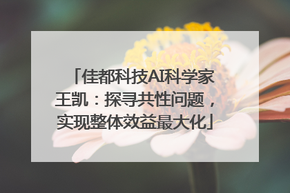 佳都科技AI科学家王凯：探寻共性问题，实现整体效益最大化