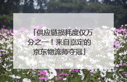 供应链损耗度仅万分之一！来自嘉定的京东物流师夺冠