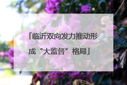 临沂双向发力推动形成“大监督”格局