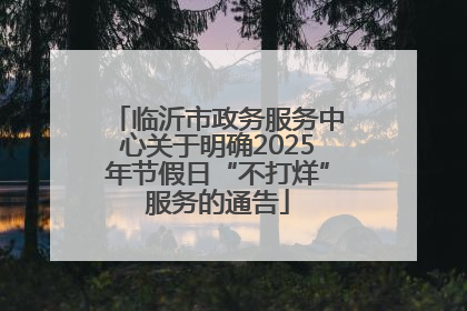 临沂市政务服务中心关于明确2025年节假日“不打烊”服务的通告