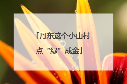 丹东这个小山村点“绿”成金