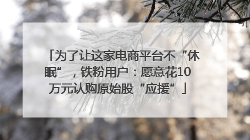 为了让这家电商平台不“休眠”，铁粉用户：愿意花10万元认购原始股“应援”