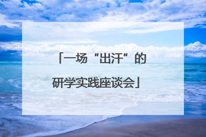 一场“出汗”的研学实践座谈会