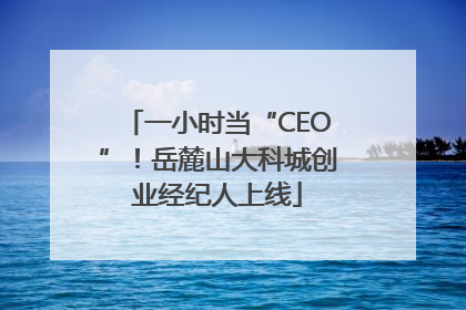 一小时当“CEO”！岳麓山大科城创业经纪人上线