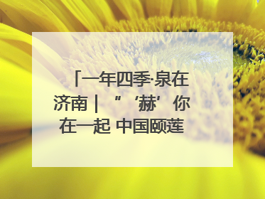 一年四季·泉在济南｜“‘赫’你在一起 中国颐莲喷雾节”：解锁济南夏日消费热潮中的国货新势力