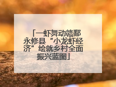 一虾舞动赣鄱 永修县“小龙虾经济”绘就乡村全面振兴蓝图