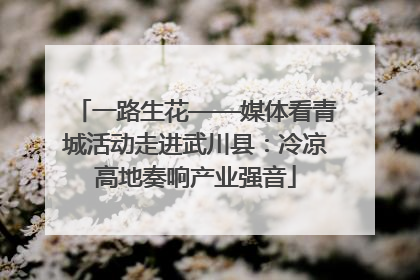 一路生花——媒体看青城活动走进武川县：冷凉高地奏响产业强音