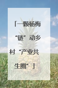 一颗杨梅“链”动乡村“产业共生圈”