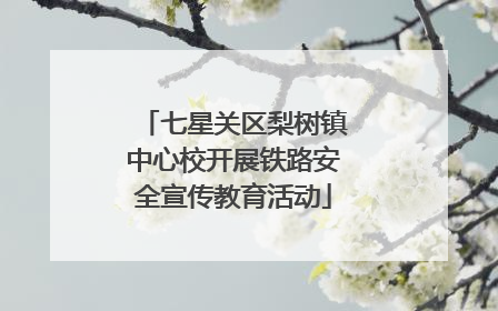 七星关区梨树镇中心校开展铁路安全宣传教育活动