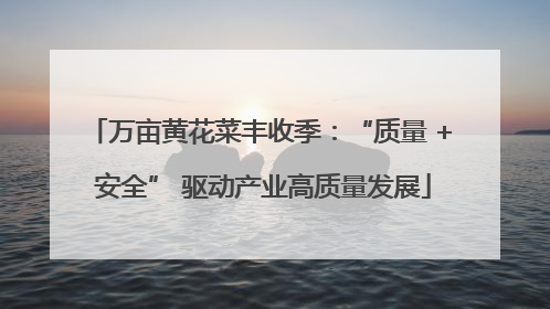万亩黄花菜丰收季：“质量 + 安全” 驱动产业高质量发展