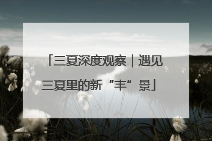 三夏深度观察｜遇见三夏里的新“丰”景
